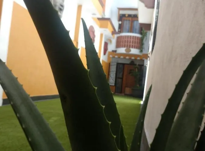 Casa Mexicana Patio