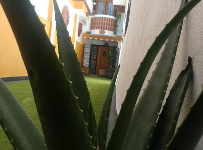 Casa Mexicana Patio Holiday home *